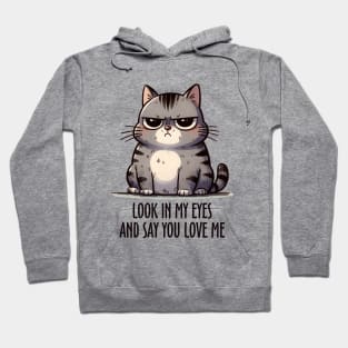 Look In My Eyes And Say You Love Me Funny Cat Hoodie